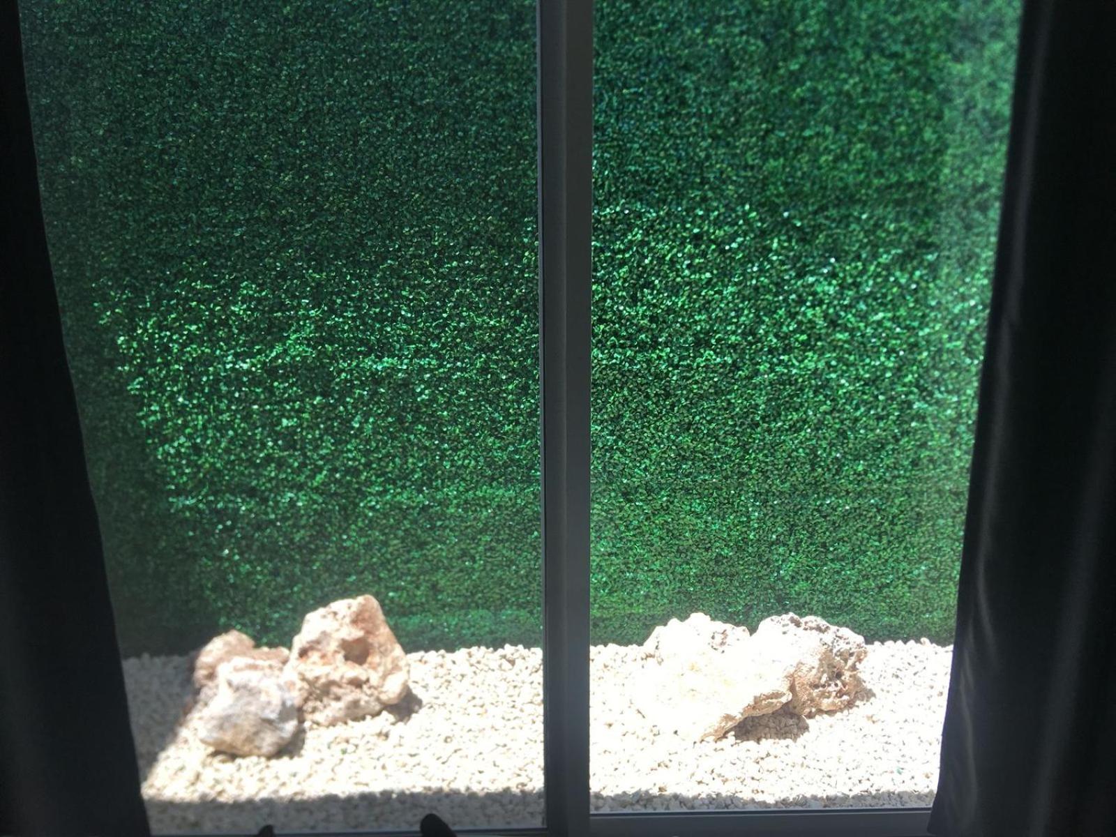 Green Lofts カンクン エクステリア 写真